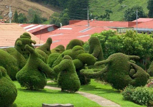 25個&ldquo;植物造型&rdquo;花園景觀設(shè)計,網(wǎng)友直呼:植物的藝術(shù)!